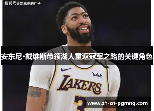 安东尼·戴维斯带领湖人重返冠军之路的关键角色
